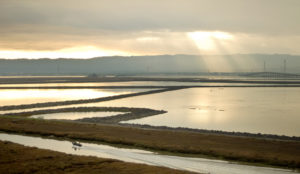 places-marshlands_1000