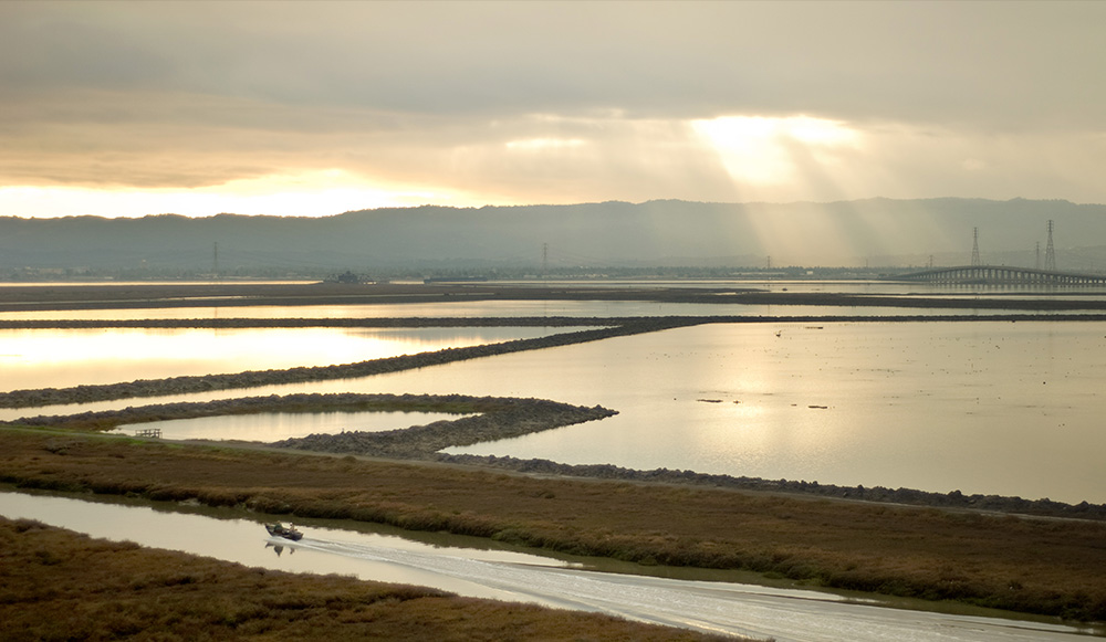 places-marshlands_1000